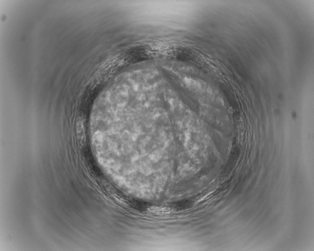 X0000059230699200511041242