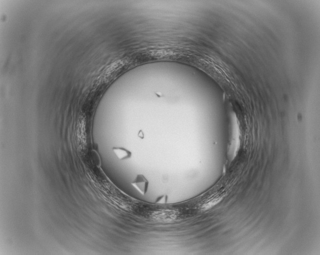 X0000059230700200511041242