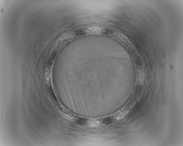 X0000059230701200511041242