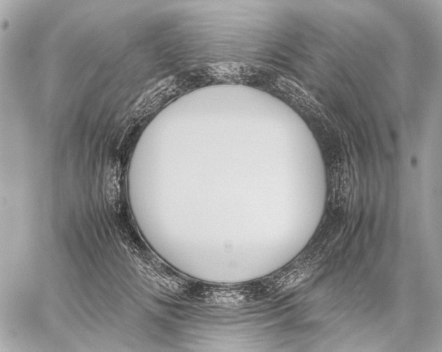 X0000059230702200511041242