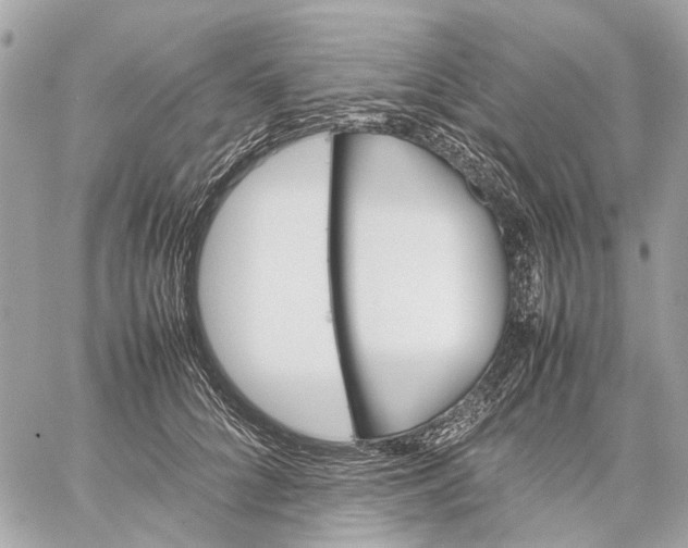 X0000059230704200511041242