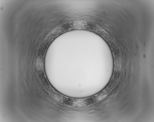 X0000059230705200511041242