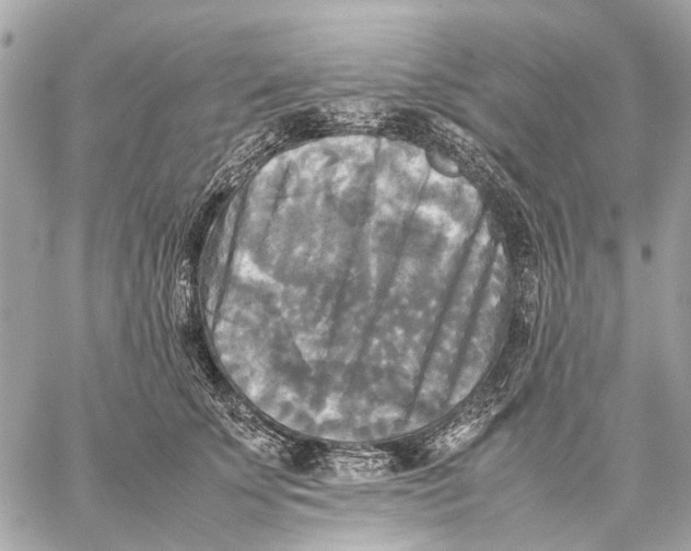 X0000059230707200511041242