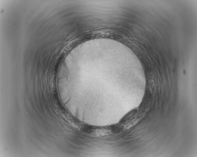 X0000059230708200511041242