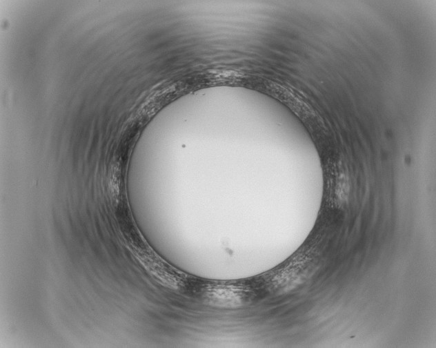 X0000059230710200511041242