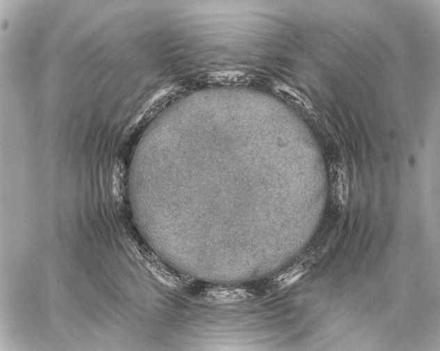 X0000059230712200511041242