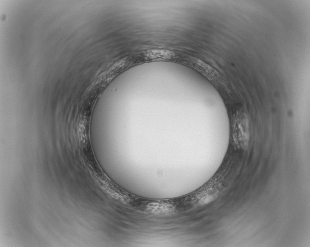 X0000059230714200511041242