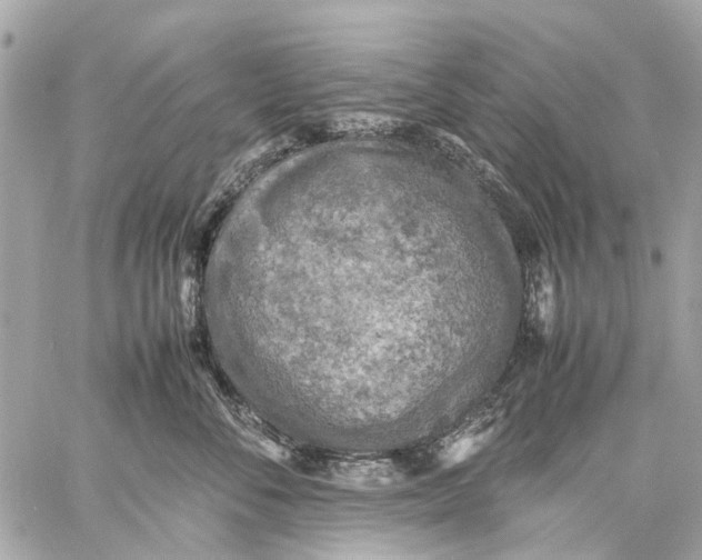 X0000059230716200511041242