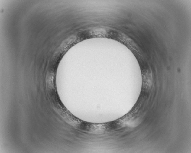 X0000059230717200511041242