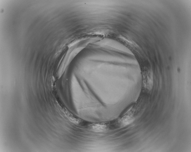 X0000059230718200511041242