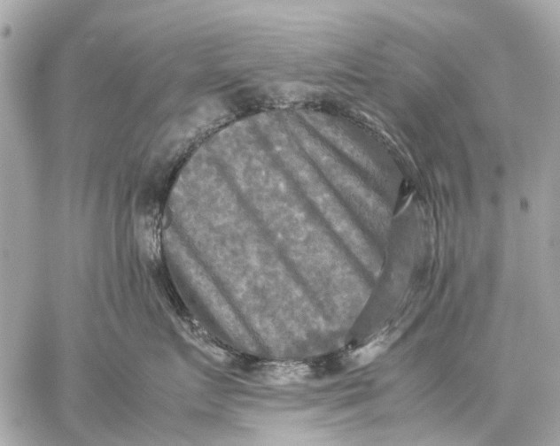 X0000059230719200511041242