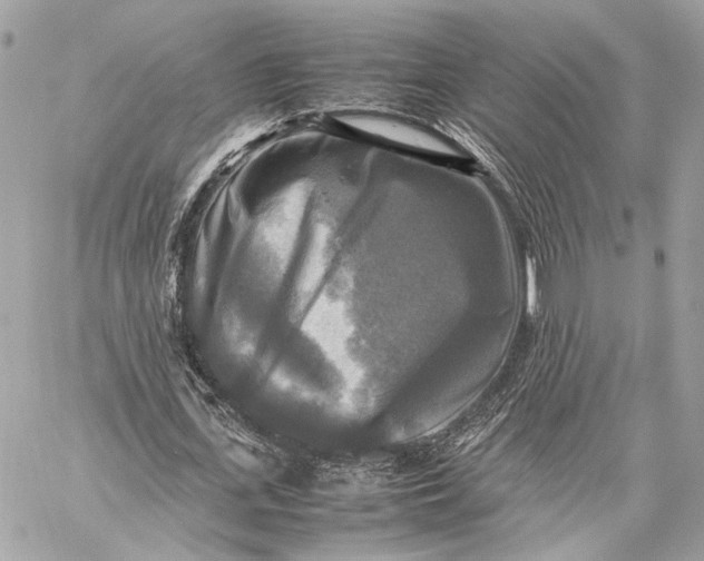 X0000059230723200511041241