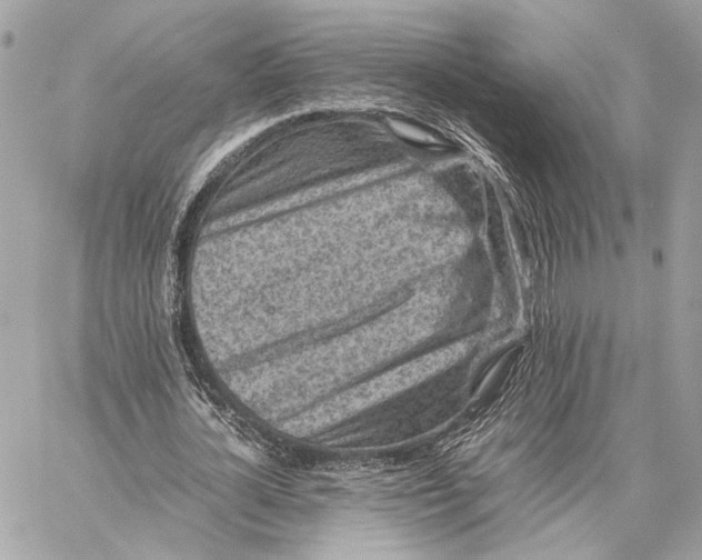 X0000059230724200511041241