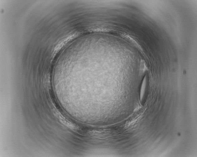 X0000059230725200511041241