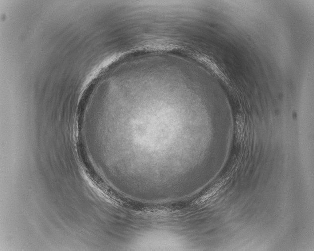 X0000059230726200511041241