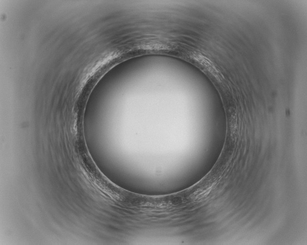 X0000059230727200511041241