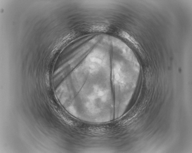 X0000059230729200511041241