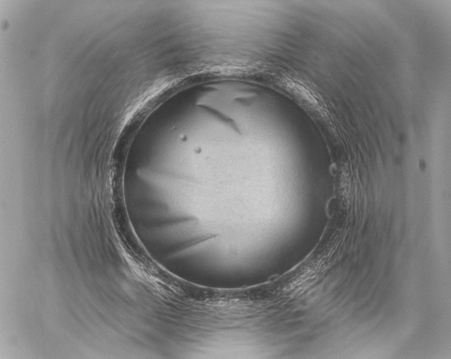 X0000059230730200511041241