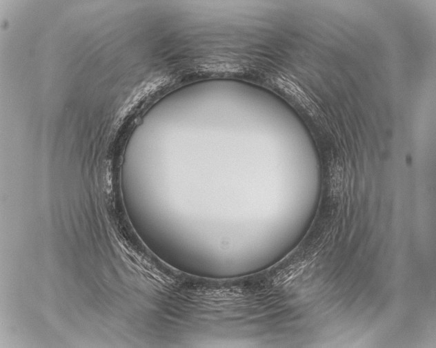 X0000059230731200511041241