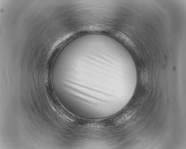 X0000059230732200511041241