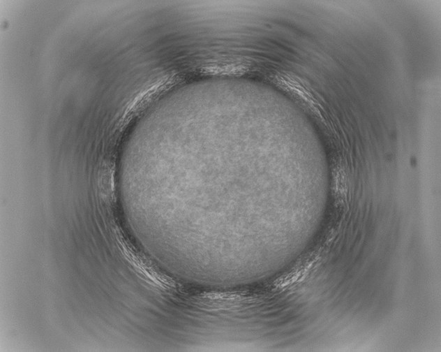 X0000059230733200511041241