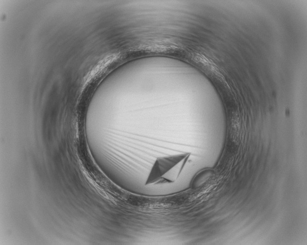 X0000059230734200511041241