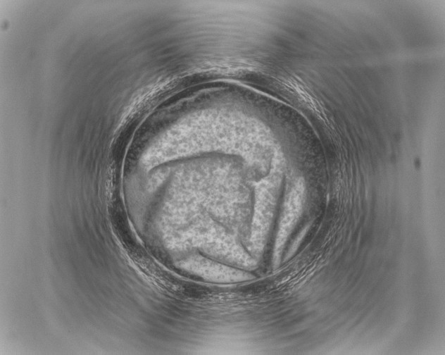 X0000059230736200511041241