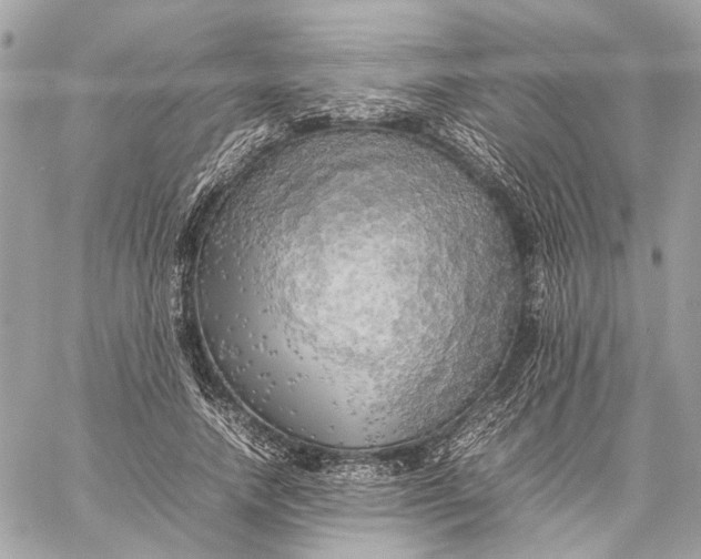 X0000059230738200511041241