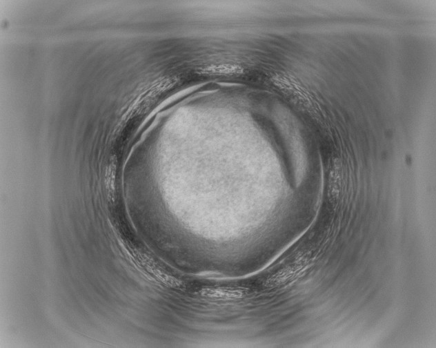 X0000059230739200511041241