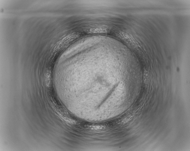 X0000059230741200511041241