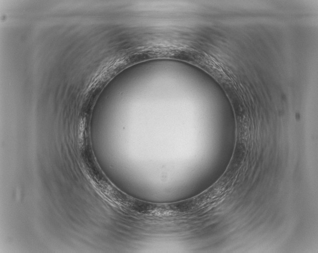 X0000059230742200511041241