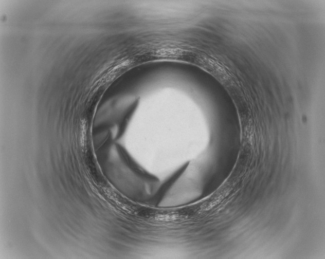 X0000059230744200511041241