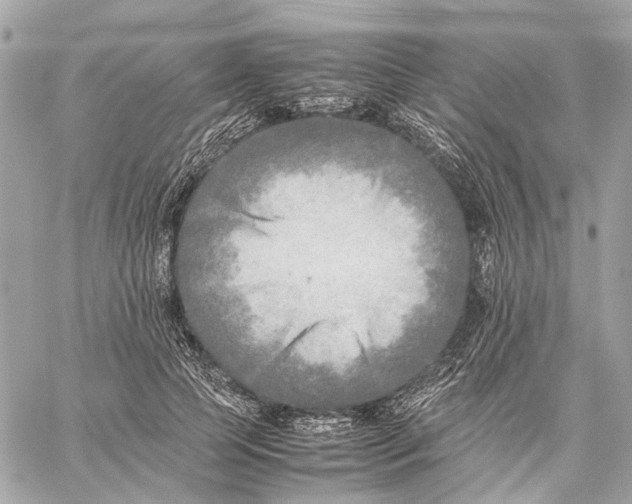 X0000059230745200511041241