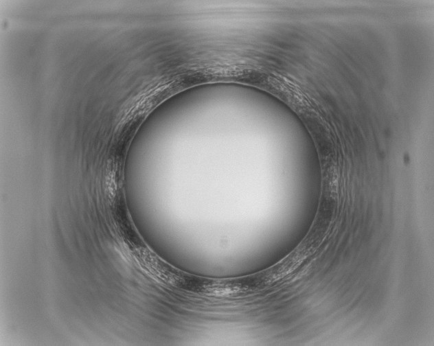 X0000059230746200511041241