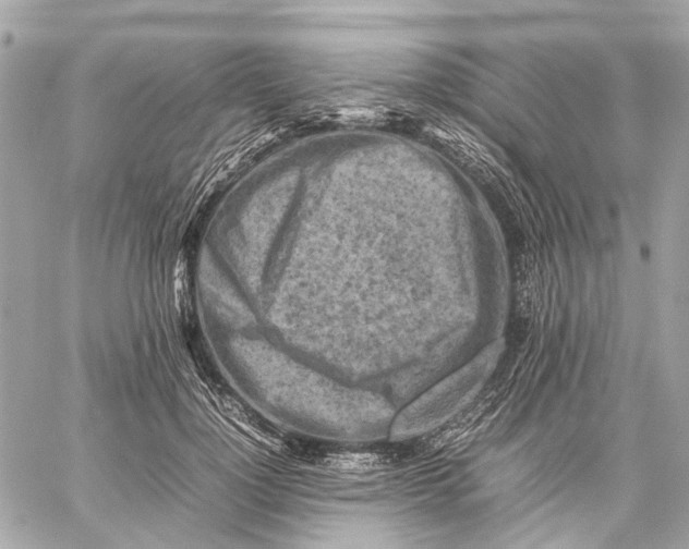 X0000059230748200511041241