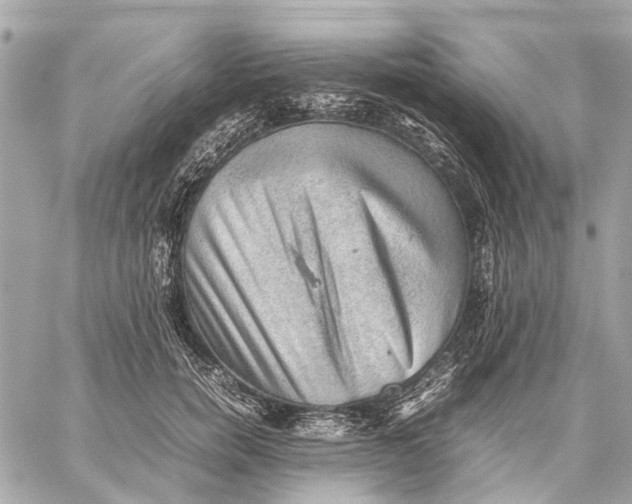 X0000059230750200511041241