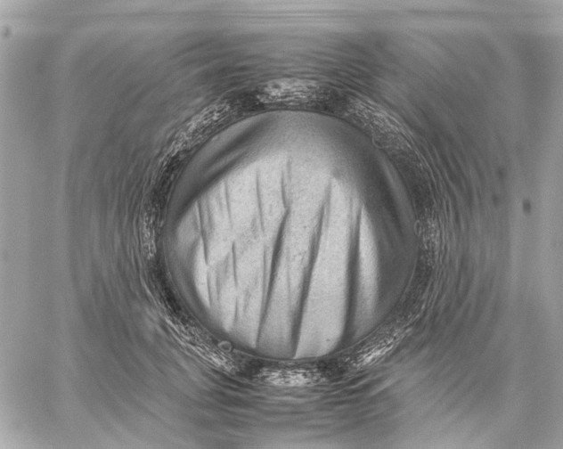 X0000059230751200511041241