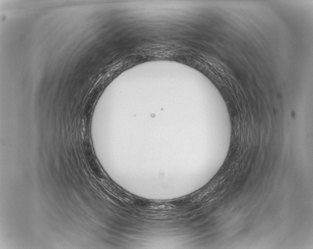 X0000059230752200511041241