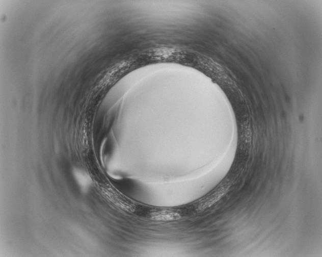 X0000059230754200511041241