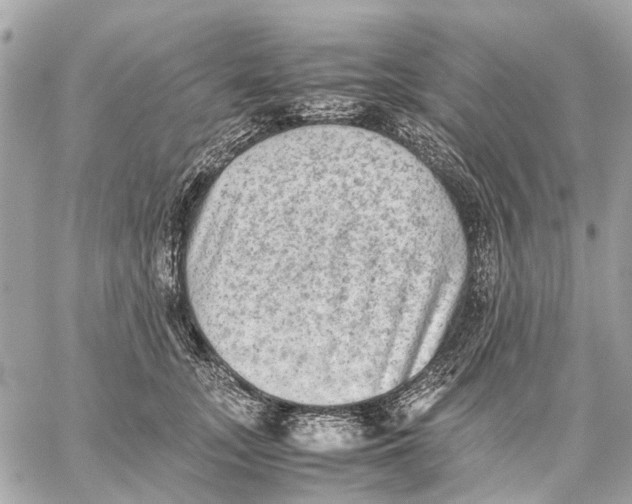 X0000059230755200511041241