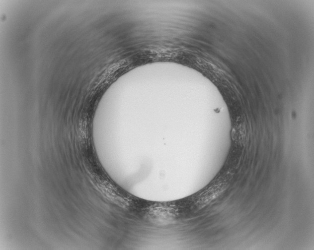 X0000059230756200511041241