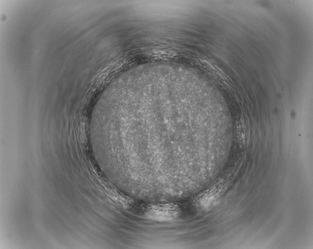 X0000059230757200511041241