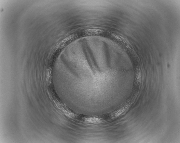 X0000059230759200511041241