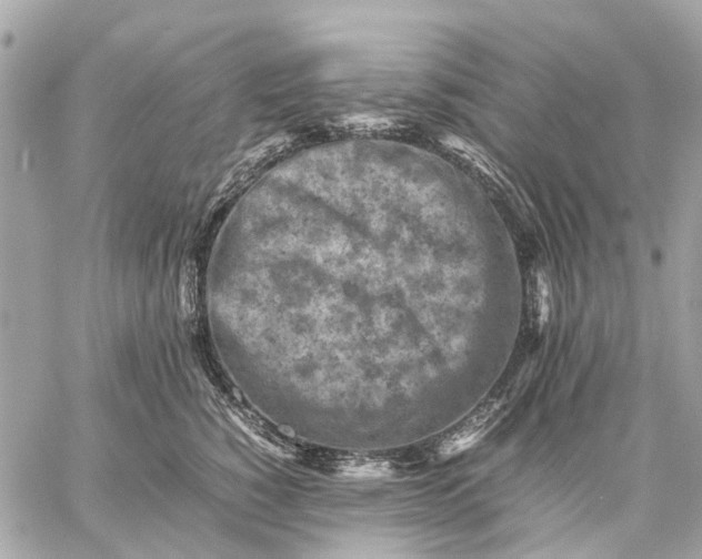 X0000059230760200511041241