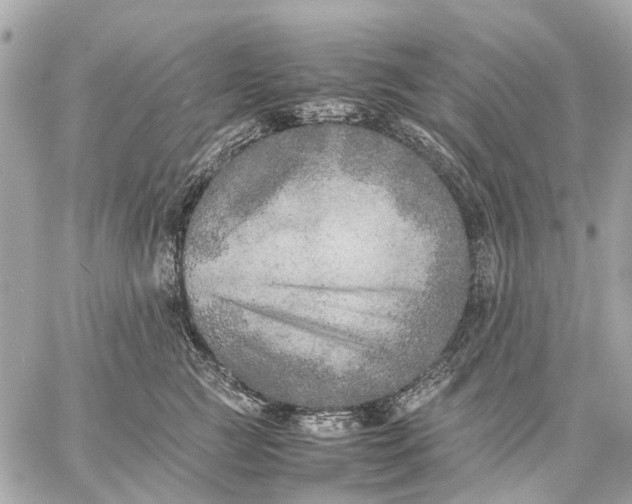 X0000059230761200511041241