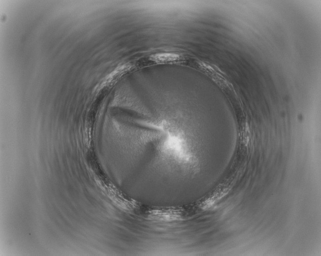 X0000059230763200511041241