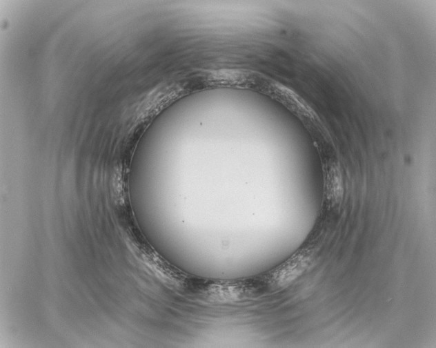 X0000059230764200511041241