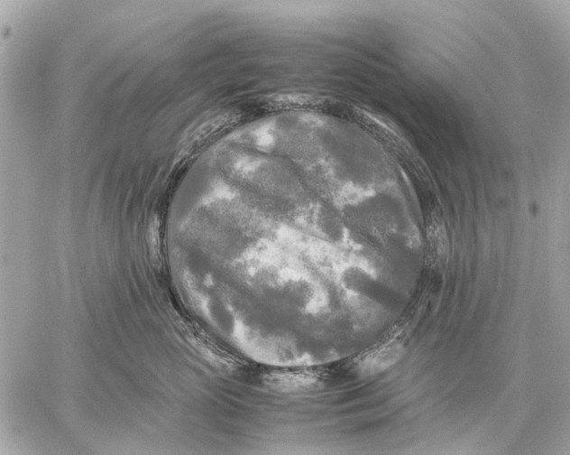 X0000059230765200511041241