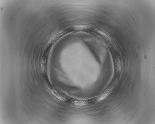 X0000059230766200511041241