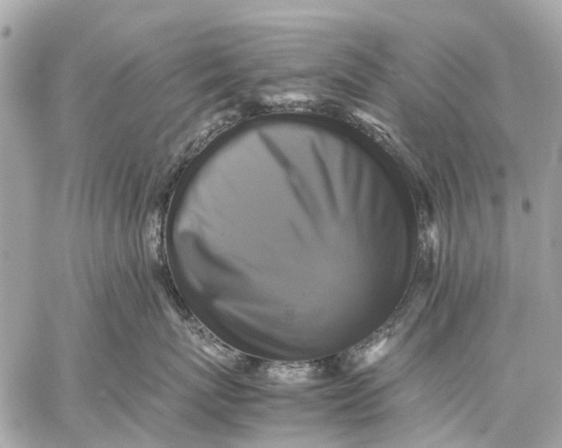 X0000059230767200511041241